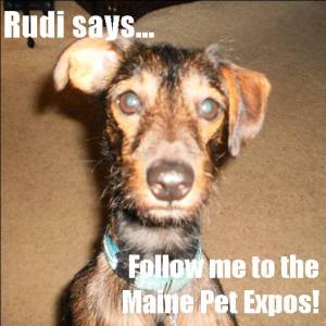 Rudi Says Follow Me...