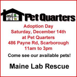 Maine Lab Rescue - 12 14 13 Adoption Day